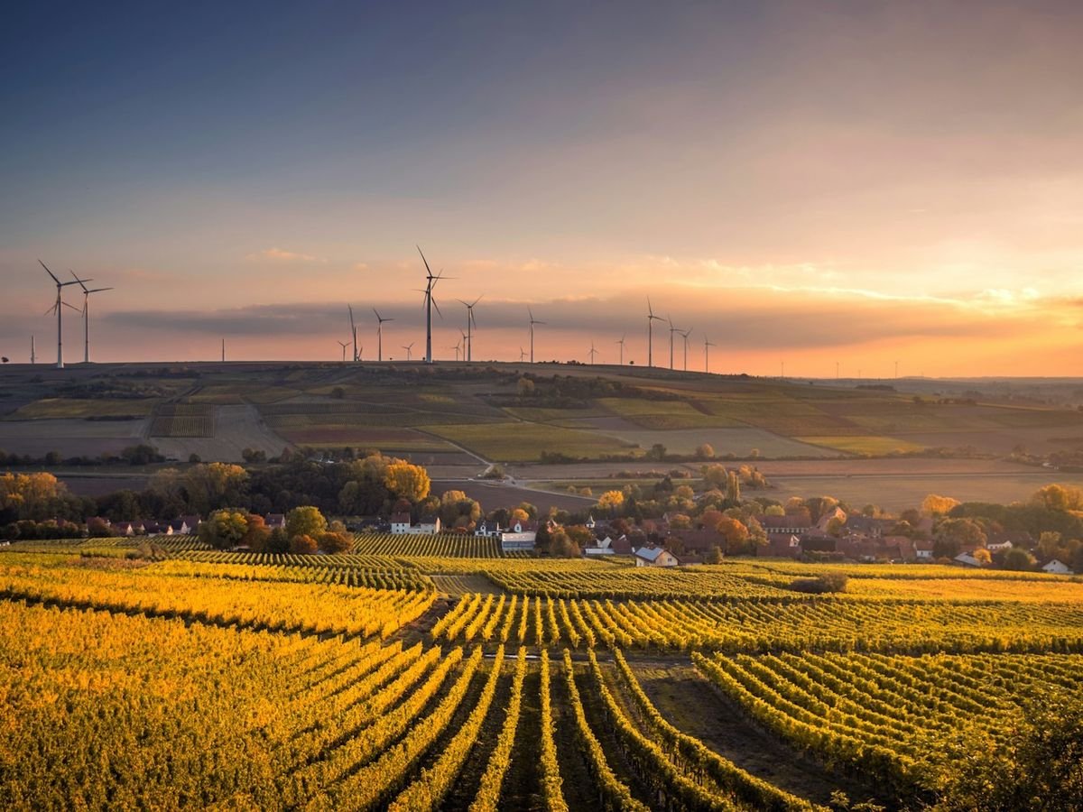 Solar array generating power at sunset